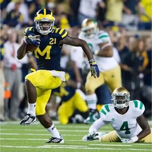 Michigan Wolverines 2011 Under The Lights Adidas Jersey L #21 Junior Hemingway